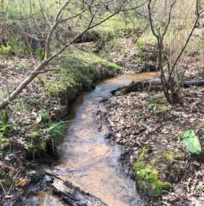 Meet your Posher, Melody